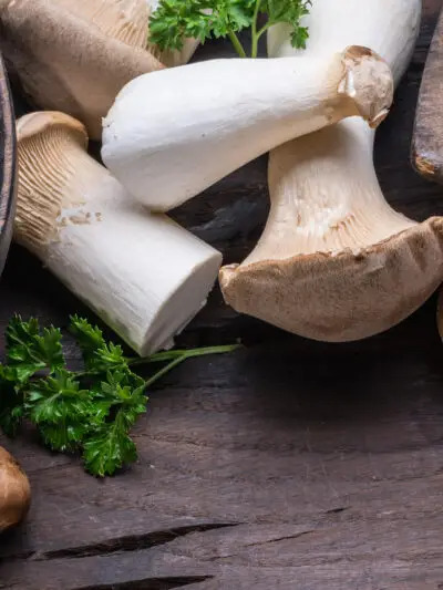 Medicinal Mushroom Organizations